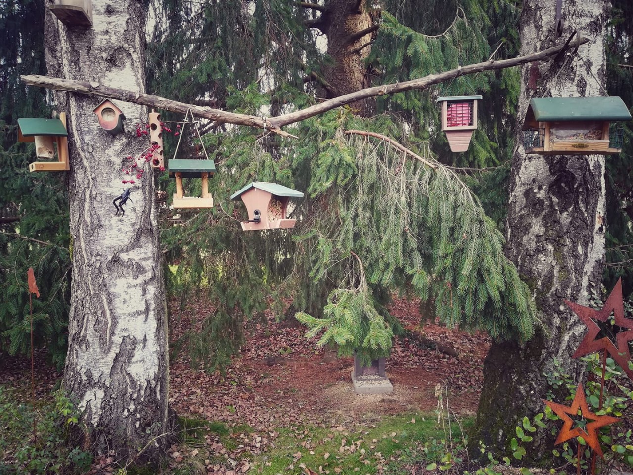 ALT: Hanging feeders and bird feeders on the ground in the garden