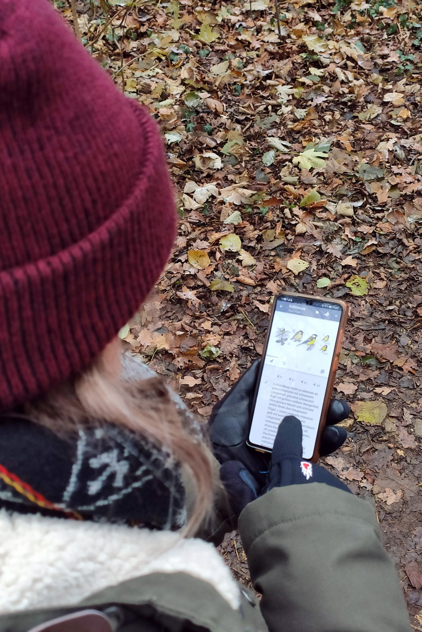 Frau mit Lederhandschuhen, die eine Vogel-Bestimmungsapp am Handy antippt