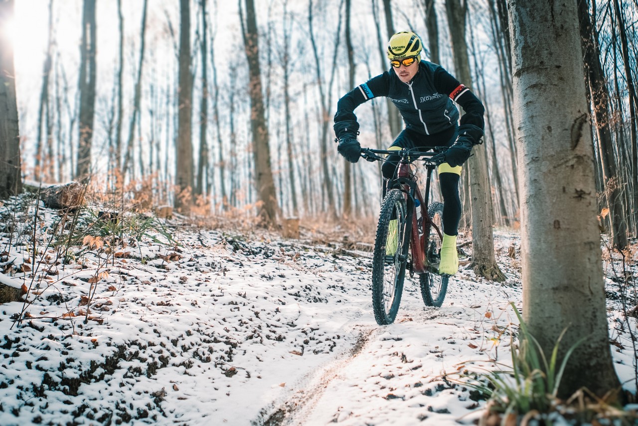 Mann fährt im Wald mit seinem Fahrrad bergab